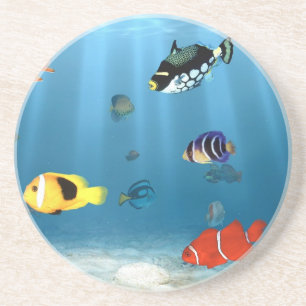 Oceans Of Fish Coaster