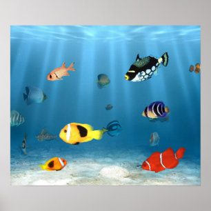 Oceans Of Fish Poster