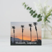 Oceanside California Orange Sunset Palm Trees
