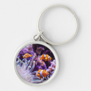 Ocellaris Clownfish Amphiprion Ocellaris Key Ring
