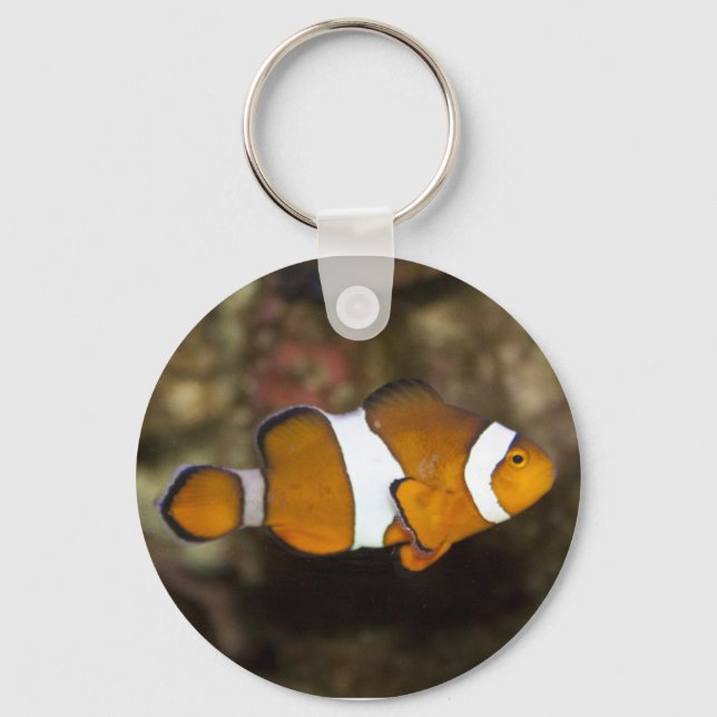 Ocellaris Clownfish Key Ring (Front)