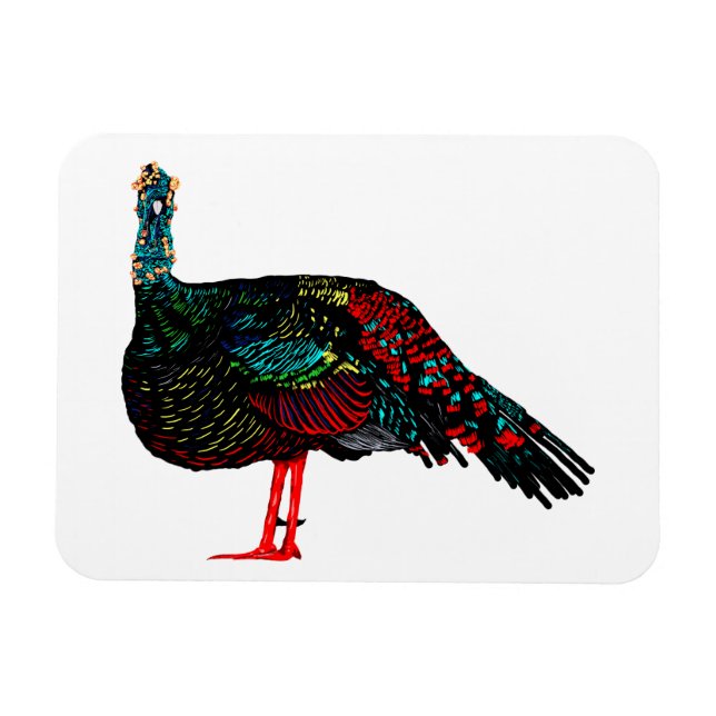 Ocellated Turkey Magnet (Horizontal)