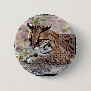 Ocelot 01 11x11 6 cm round badge