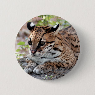Ocelot 02 9x9 6 cm round badge