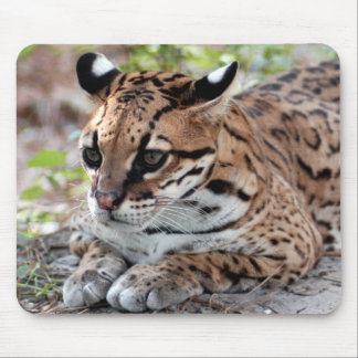 Ocelot 02 9x9 mouse pad