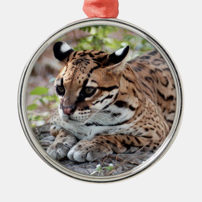 Ocelot Christmas Ornament (Front)