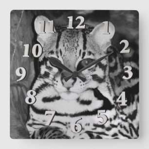 Ocelot in Repose Square Wall Clock