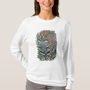 OCELOT Leopardus pardalis) CENTRAL AMERICA T-Shirt