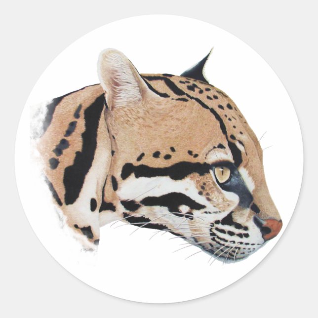Ocelot Portrait Classic Round Sticker (Front)
