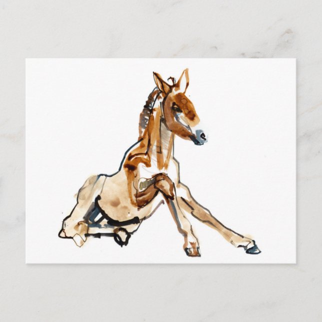 Ochre Foal Postcard (Front)