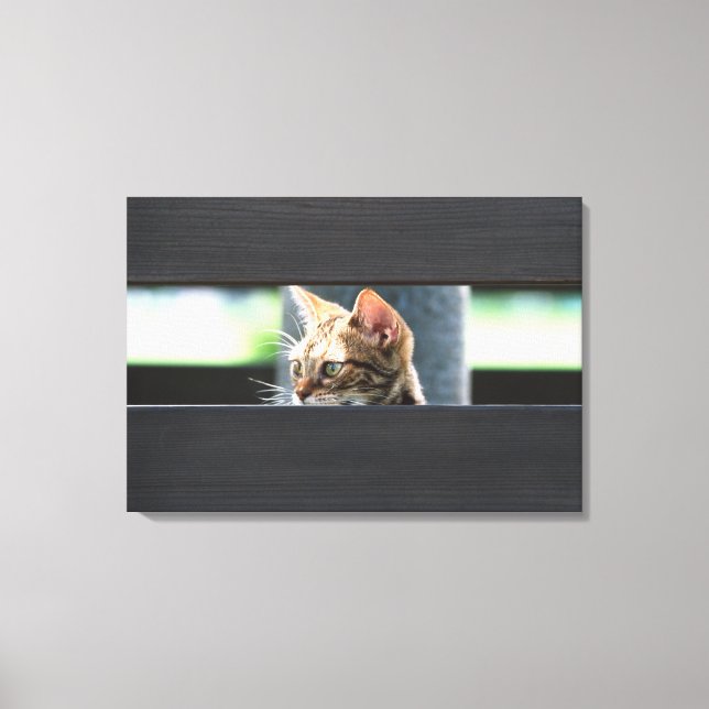 Ocicat 4 canvas print (Front)