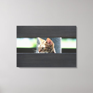 Ocicat 4 canvas print