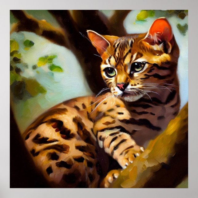 Ocicat Cat  Poster (Front)