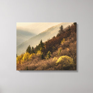 Oconaluftee Valley Overlook   North Carolina Canvas Print