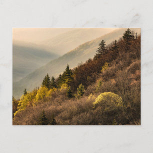 Oconaluftee Valley Overlook   North Carolina Postcard
