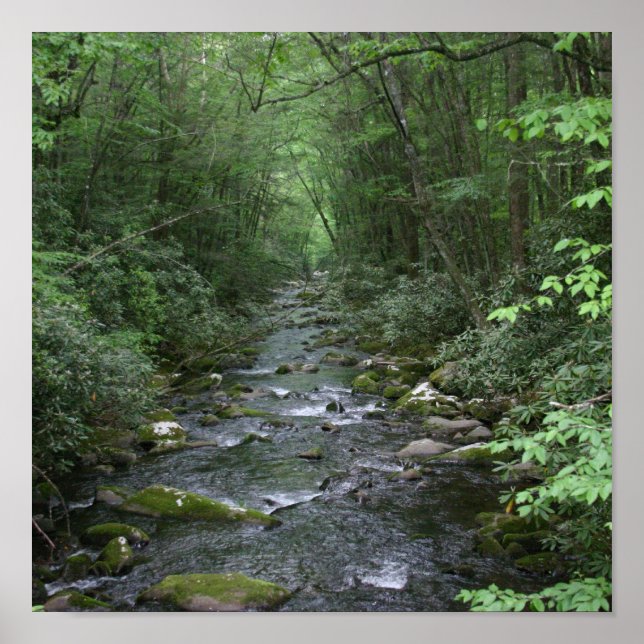 Oconuluftee River View Poster (Front)