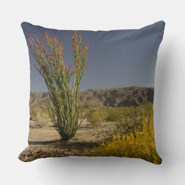 Ocotillo and desert senna cushion (Front)