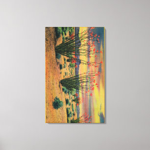 Ocotillo Flowers in Bloom, California DesertStat Canvas Print
