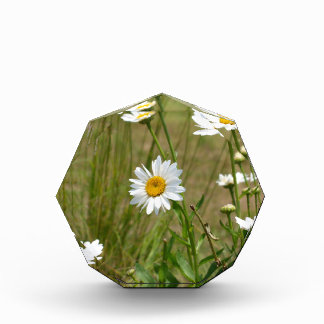 Octagonal photo block