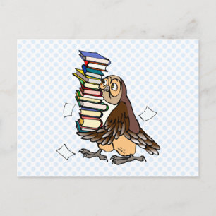 Octavian Owl Postcard