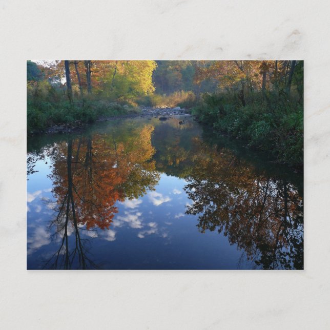 october at the stream postcard (Front)