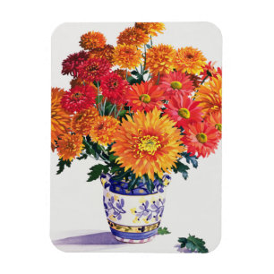 October Chrysanthemums Magnet