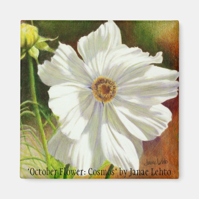 "October Flower: Cosmos" by Janae L... Magnet (Front)