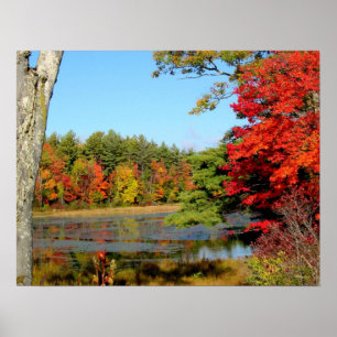 October Foliage Print