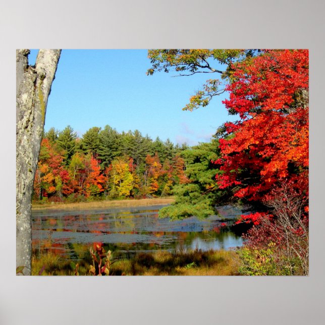 October Foliage Print (Front)