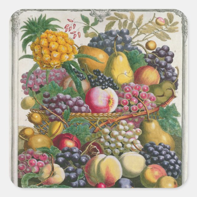 October, from 'Twelve Months of Fruits' Square Sticker (Front)