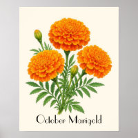 October Marigold Flowers