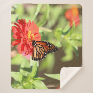 October Monarch Sherpa Blanket