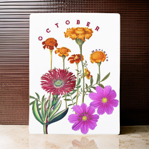 October Month Flowers Marigold & Cosmos   Postcard
