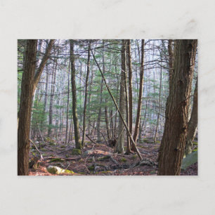 October Mountain Postcard