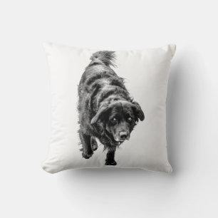 October Night Watch Cushion