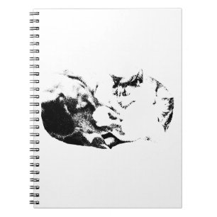 October Notes from Two Notebook