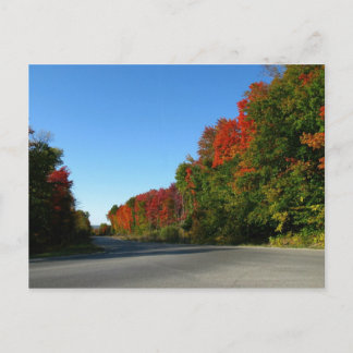 October Road Postcard