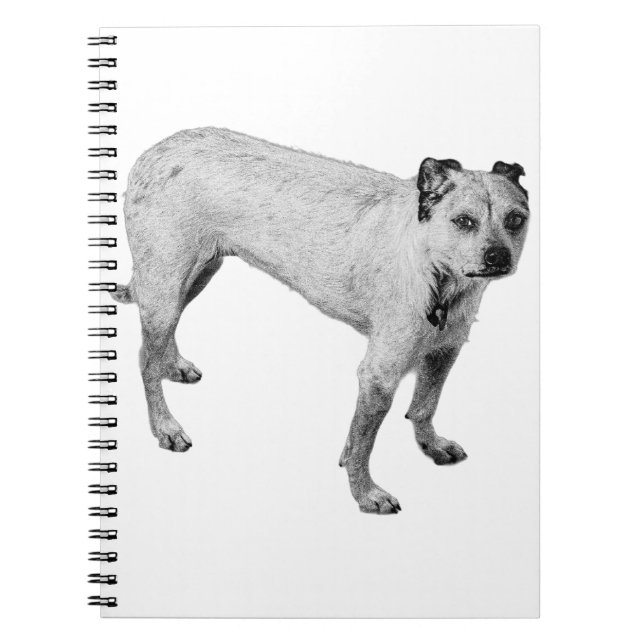 October’s Watch Notebook (Front)