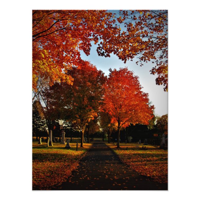 "October Shine" Photo Print (Front)