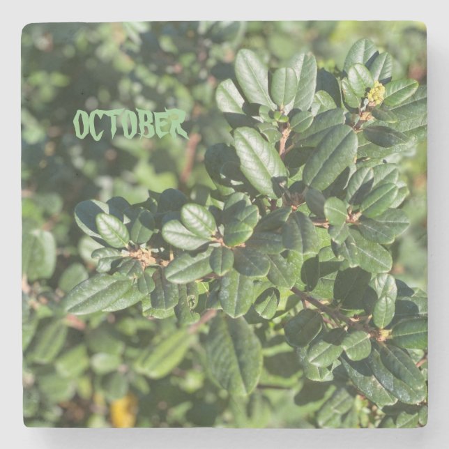 OCTOBER STONE COASTER (Front)