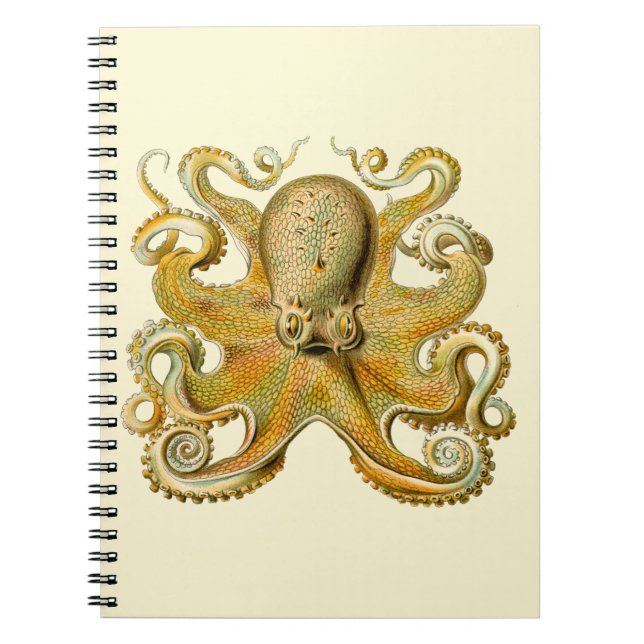 Octopus antique illustration sea monster spiral notebook (Front)