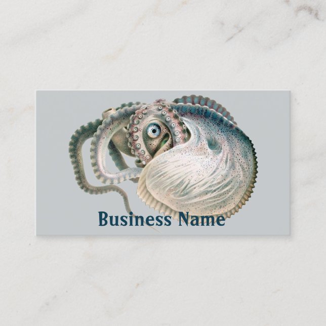 Octopus Argonaut, Vintage Marine Life Animals Business Card (Front)