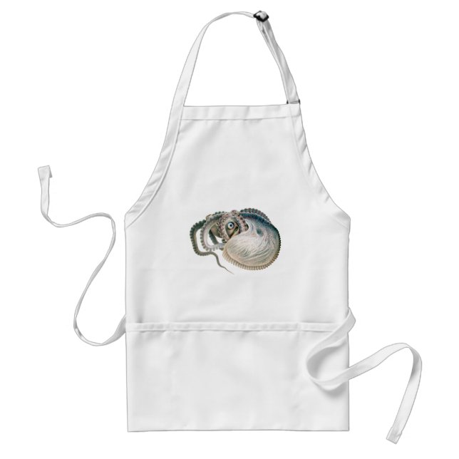 Octopus Argonaut, Vintage Marine Life Animals Standard Apron (Front)