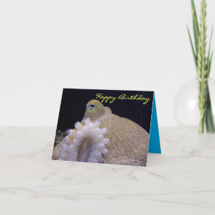 Octopus Birthday Card
