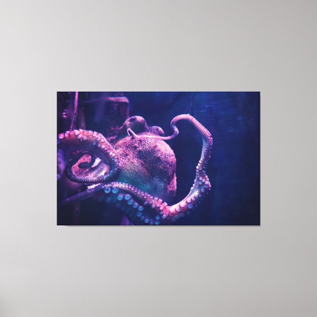 Octopus Canvas Print (Front)