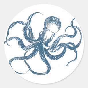 Octopus cyanotype sticker