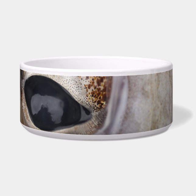 Octopus Eye (Right)