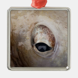 Octopus Eye Metal Tree Decoration