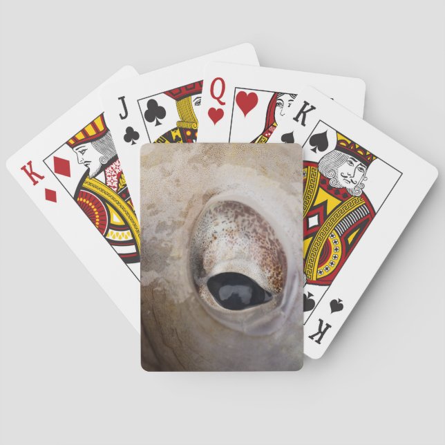 Octopus Eye Playing Cards (Back)