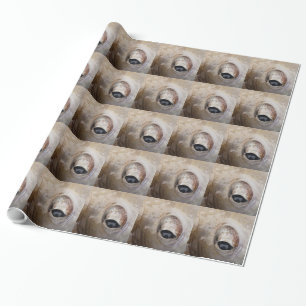 Octopus Eye Wrapping Paper